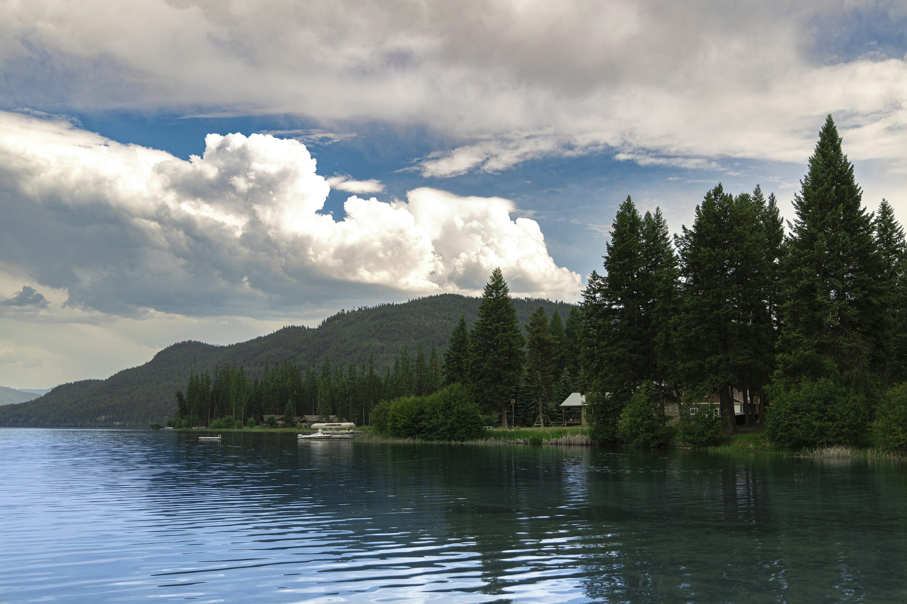 Wooded lake landscape near Whitefish, Montana