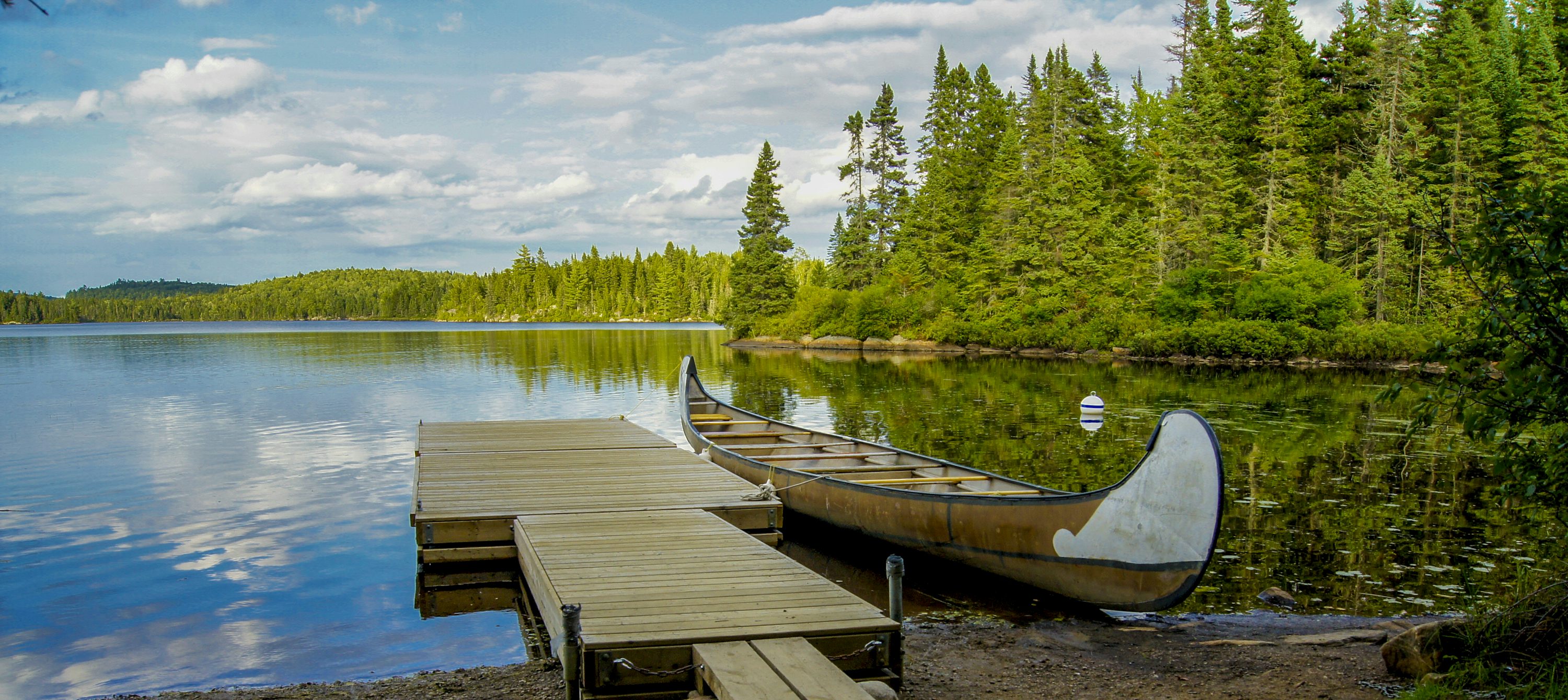 Quiet canoe dock and lake access in a forest setting